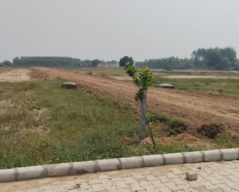 Plot For Resale in HLP Palmillas Vip Road Zirakpur  7684613