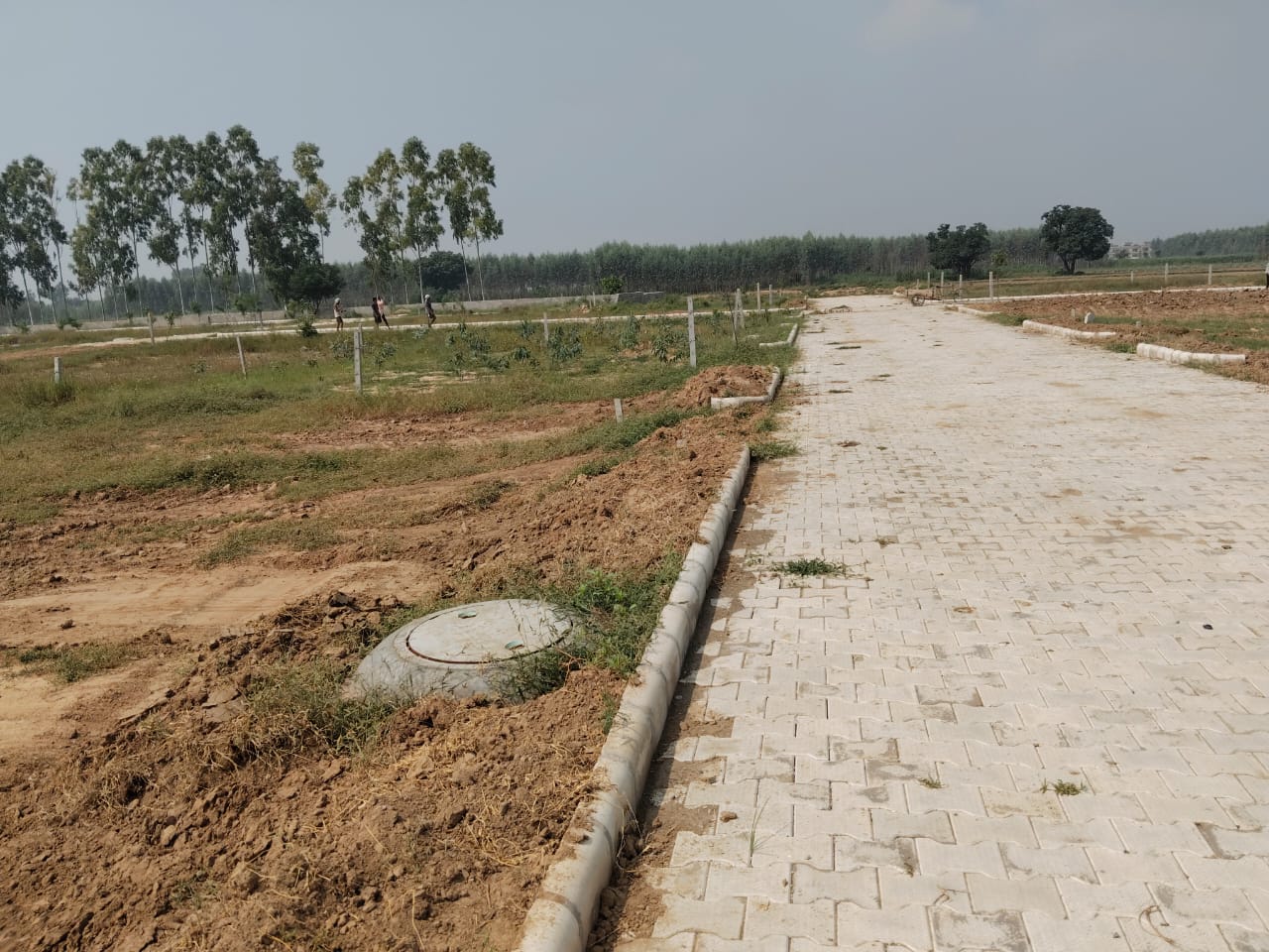 Plot For Resale in HLP Palmillas Vip Road Zirakpur  7684620