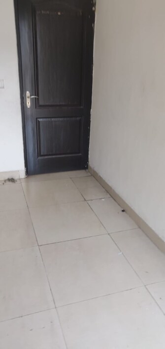 2 BHK Apartment For Rent in Aims Golf Avenue I Sector 75 Noida  7684636