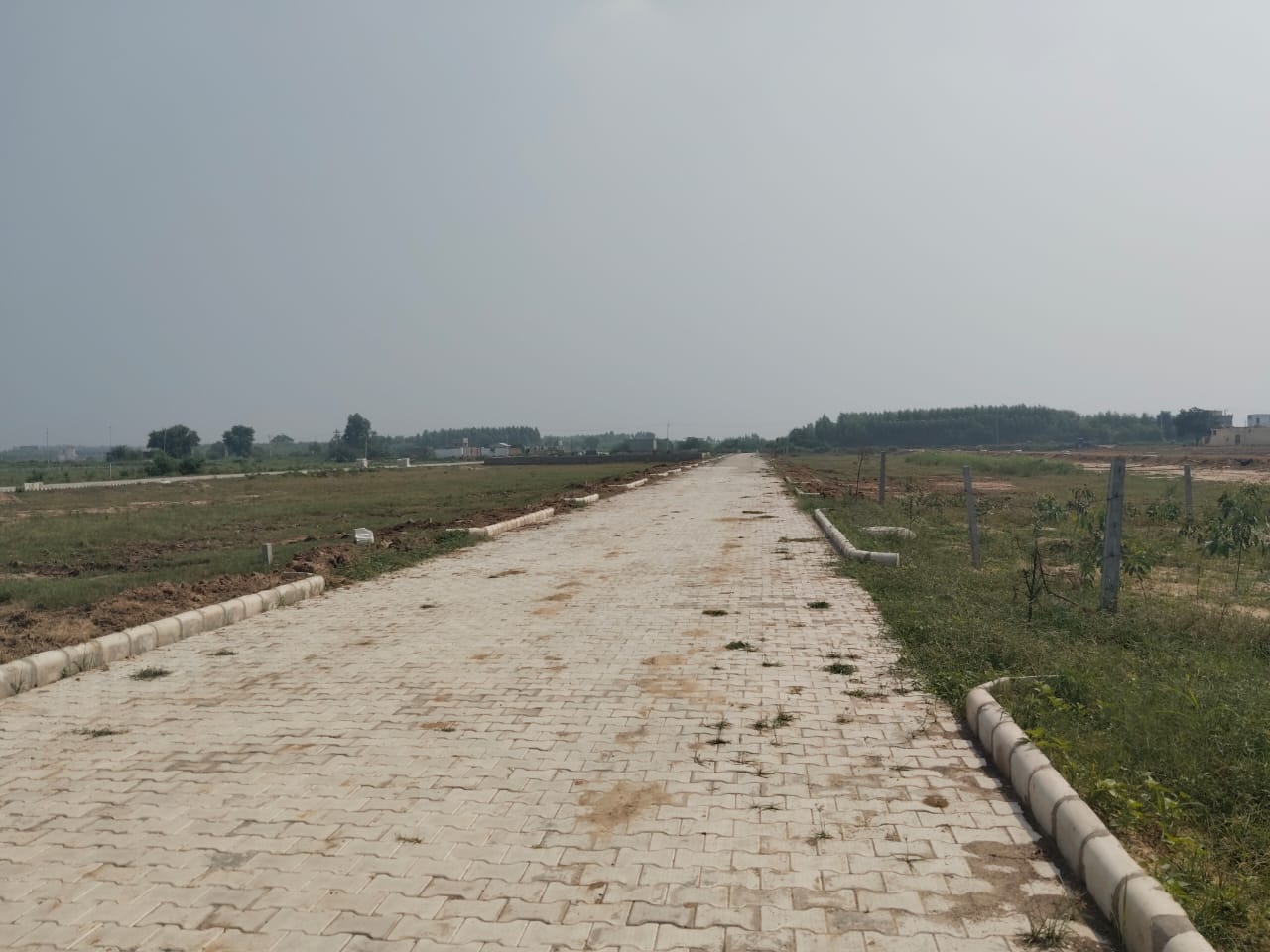 Plot For Resale in Central Town Vip Road Zirakpur  7684645