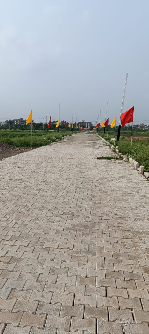 Resale 110 Sq.Yd. Plot in Aura Homes, Patiala Road Zirakpur 7684666
