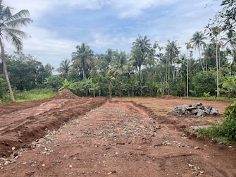 Plot For Resale in Palakkal Thrissur  7684897