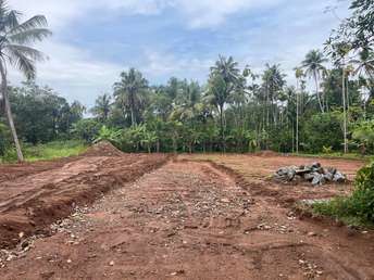 Plot For Resale in Palakkal Thrissur  7684897