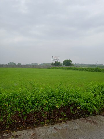 Plot For Resale in Jewar Greater Noida  7684996