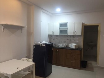 1 BHK Apartment For Rent in Amrutha Valley Banjara Hills Hyderabad  7664530