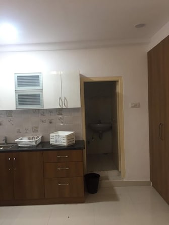 1 BHK Apartment For Rent in Amrutha Valley Banjara Hills Hyderabad  7664530