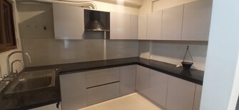 3 BHK Apartment For Rent in Nandi Durg Road Bangalore  7685480