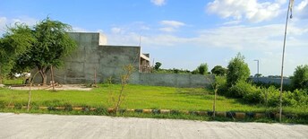 Plot For Resale in Jewar Greater Noida  7685532