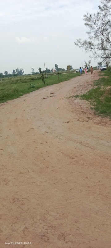 Plot Area in  Plot at Jewar – for Sale