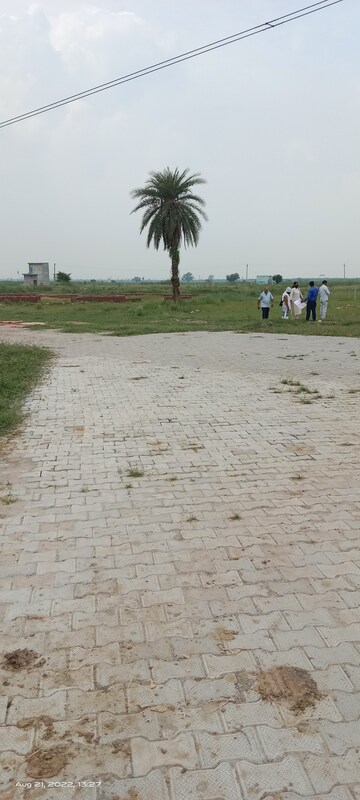 Plot Area in  Plot at Tappal – for Sale