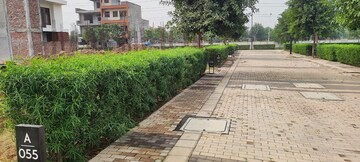 Plot Area in  Plot at BPTP District, Sector 81 – for Sale
