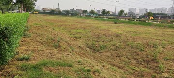 Plot Area in  Plot at BPTP District, Sector 81 – for Sale