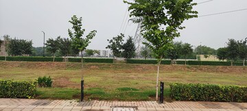 Plot Area in  Plot at BPTP District, Sector 81 – for Sale