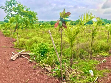  Plot – Garden View at Manneguda - for Sale
