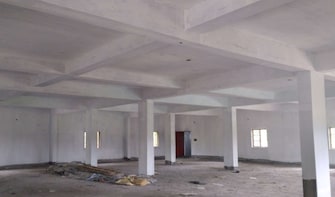 Commercial Industrial Plot 11150 Sq.Ft. For Rent in Sector 57 Faridabad  7686546