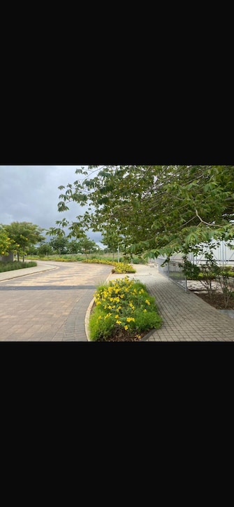 Plot For Resale in Godrej Reserve Devanahalli Bangalore  7686848