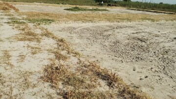 Plot Area in  Land at Palwal – for Sale