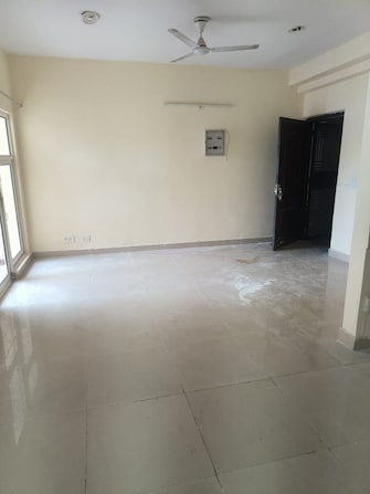 2 BHK Apartment For Rent in Aims Golf City Sector 75 Noida  7687399