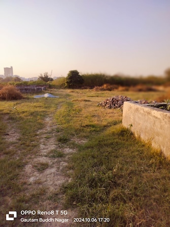 Plot For Resale in Sector Xu Iii Greater Noida  7687503