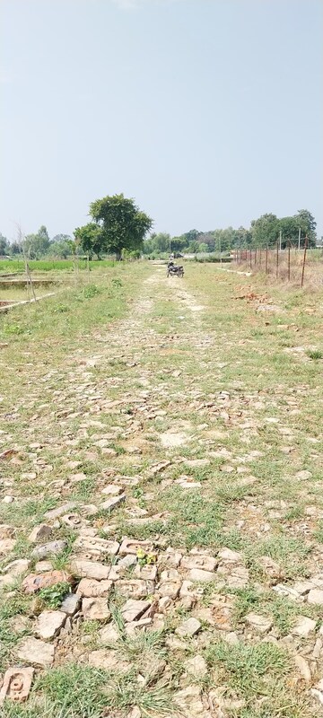 Plot Area in  Plot at Chinhat – for Sale