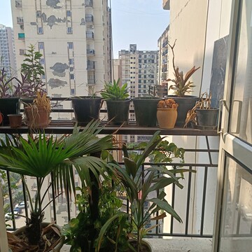 Balcony in 3 BHK Apartment at Gardenia Golf City, Sector 75 – for Sale