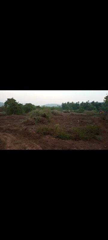 Plot Area in  Land at Dapoli – for Sale