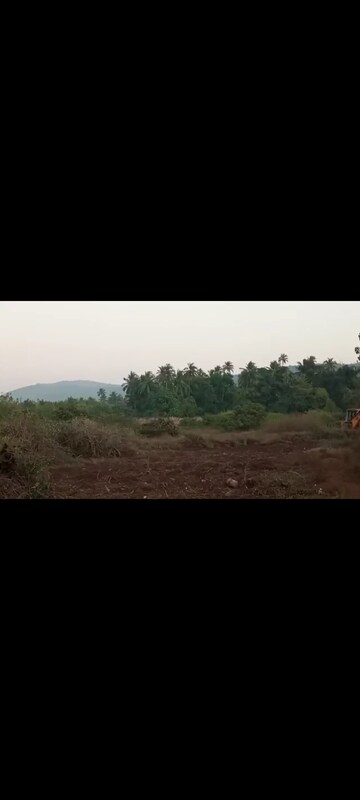 Plot Area in  Land at Dapoli – for Sale