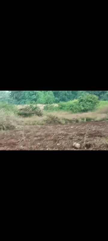 Plot Area in  Land at Dapoli – for Sale