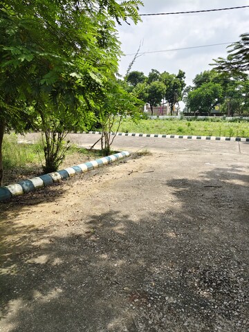 Plot For Resale in Krishna Nagar Kanpur Nagar  7689935