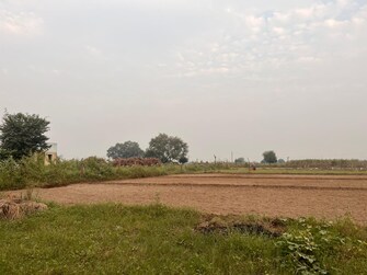 Plot For Resale in Murshadpur Greater Noida  7686765