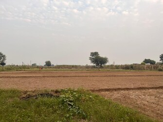 Plot For Resale in Murshadpur Greater Noida  7686765