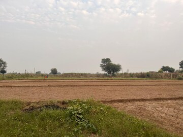 Plot Area in  Plot at Murshadpur – for Sale