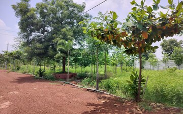 Plot For Sale in Manneguda