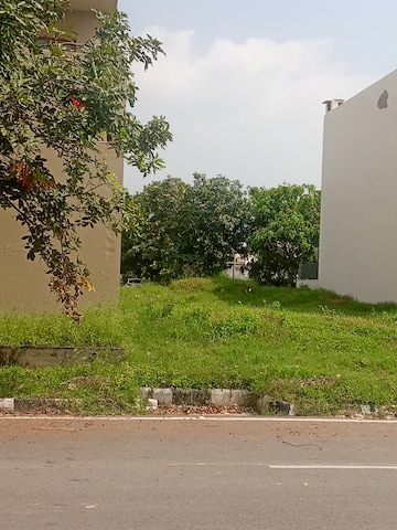 Plot For Resale in Altus Prime North Mullanpur Chandigarh  7690063