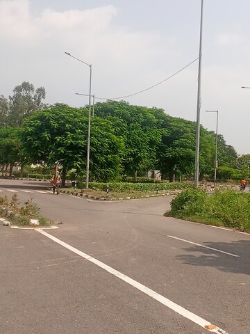Plot Area in  Plot at Altus Prime, North Mullanpur – for Sale