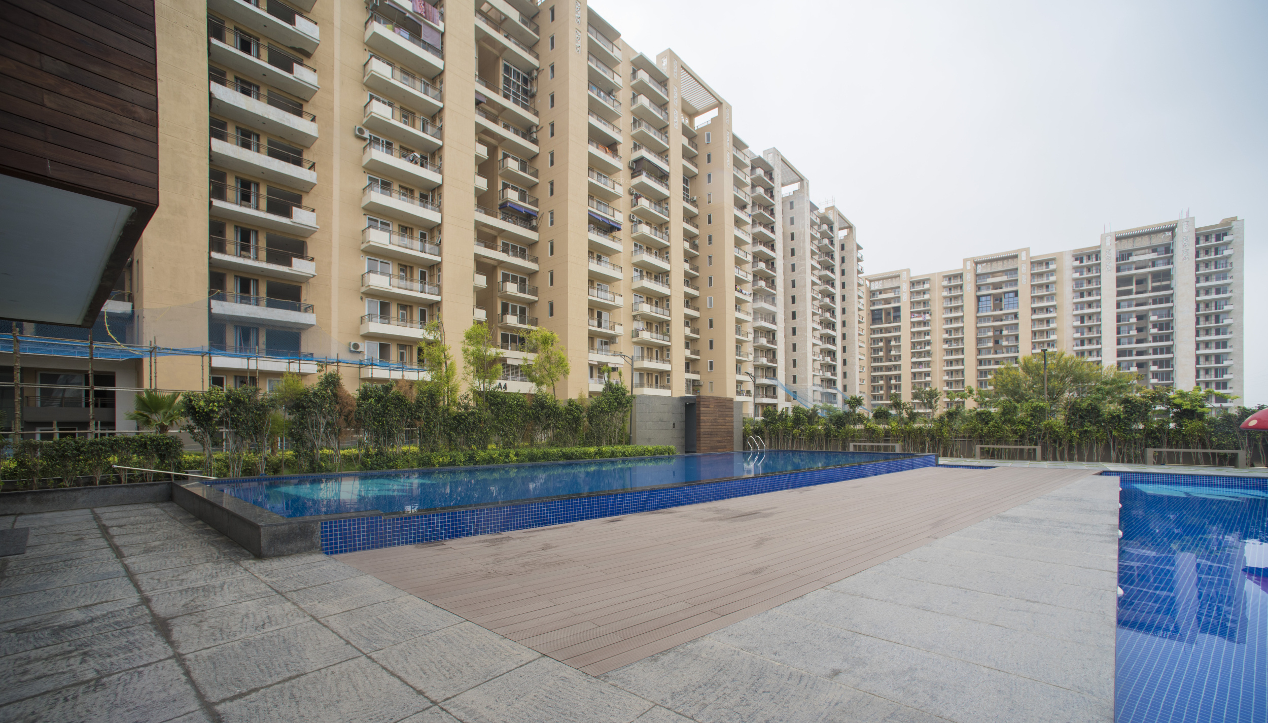 3 BHK Apartment For Rent in Tulip Violet Sector 69 Gurgaon  7690230