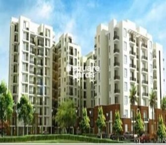 1 BHK Apartment For Resale in Ubber Palm Heights Central Derabassi Chandigarh  7690403