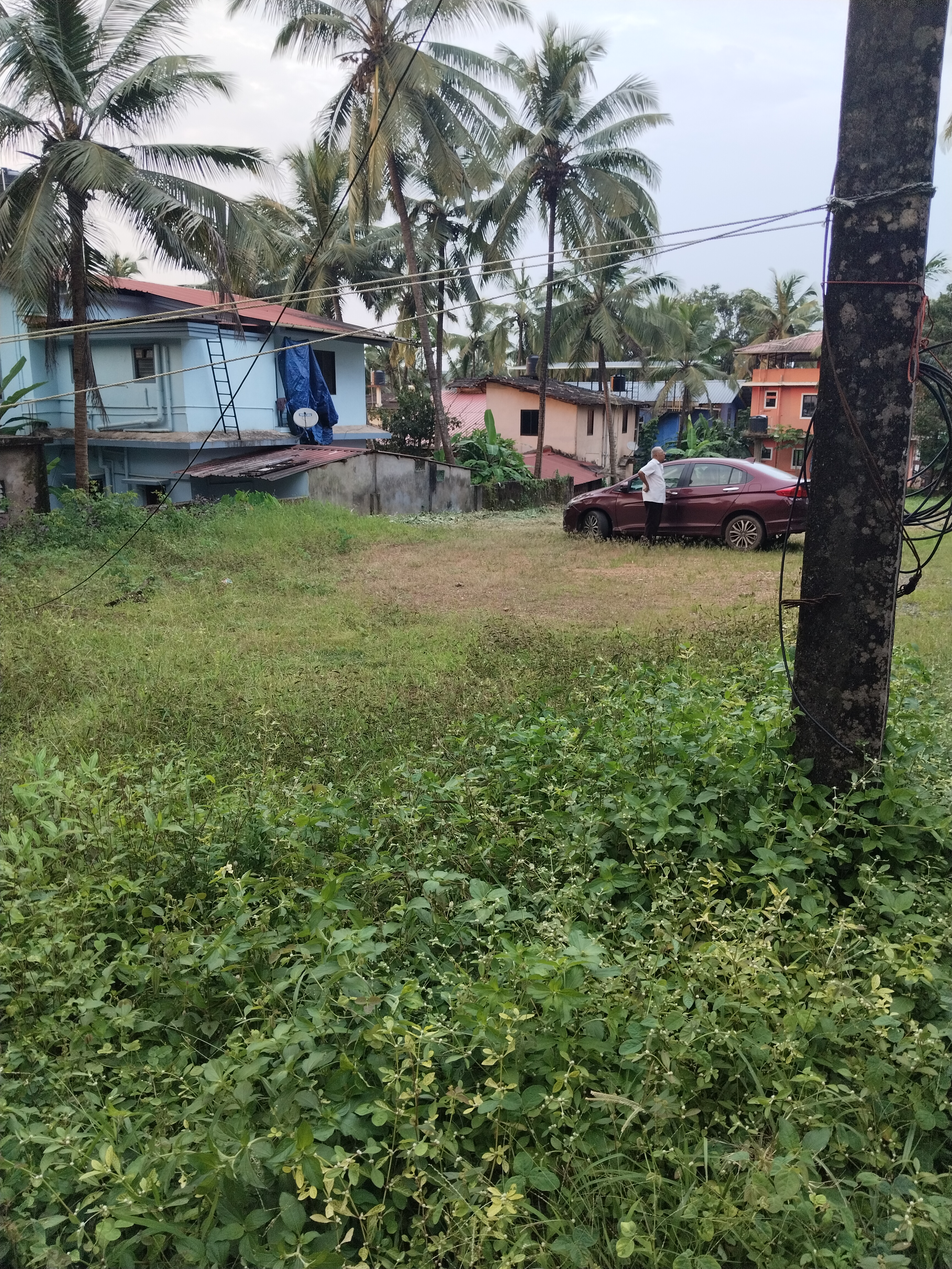 Plot For Resale in Curtorim Goa  7690534