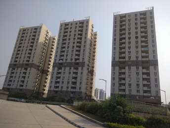 3 BHK Apartment For Resale in Vatika Gurgaon 21 Sector 83 Gurgaon  7690629