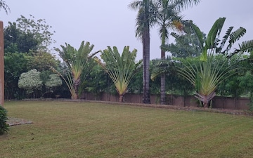 Plot For Sale in Sanand