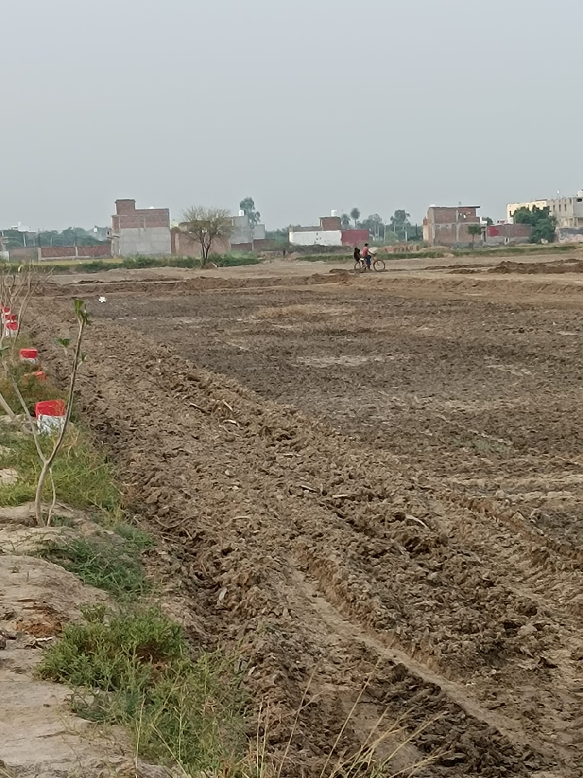 Plot For Resale in Silani Chowk Gurgaon  7690720