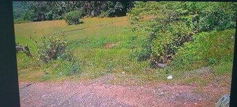 Plot For Resale in Kodibag Karwar  7690875