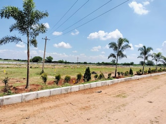 Commercial Land 206 Sq.Yd. For Resale in Turkayamjal Hyderabad  7691340