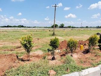 Commercial Land 206 Sq.Yd. For Resale in Turkayamjal Hyderabad  7691340