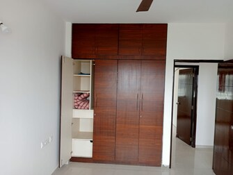 3 BHK Apartment For Rent in Pramuk Aqua Heights Electronic City Phase I Bangalore  7691618