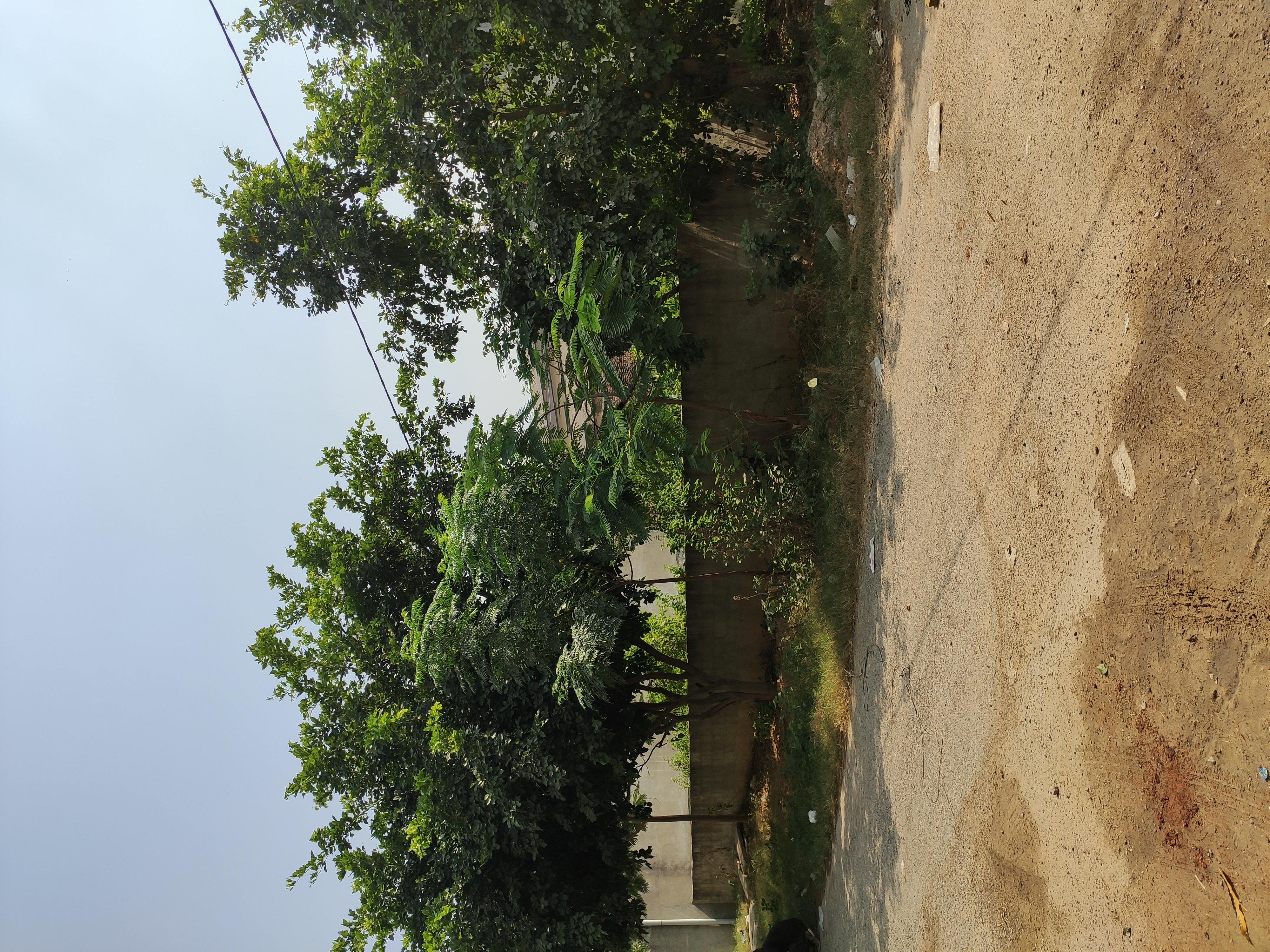 Plot For Resale in Keshar Vihar Jaipur  7691782