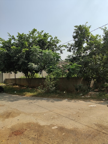 Plot For Resale in Keshar Vihar Jaipur  7691782