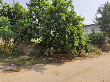 Plot Area in  Plot at Keshar Vihar – for Sale