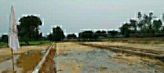 Plot For Resale in Radhey Krishna Orchid Sector 101 Noida  7692706