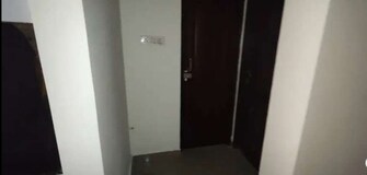 3 BHK Apartment For Rent in Amna Rolex Estate Faizabad Road Lucknow  7693061